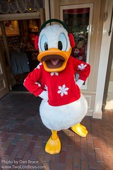 Donald Duck