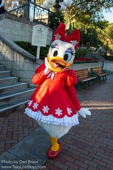 Daisy Duck