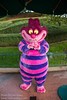 Cheshire Cat