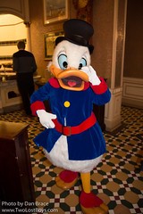 Scrooge McDuck