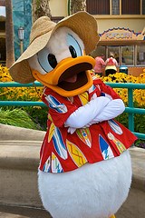 Donald Duck