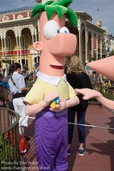 Ferb