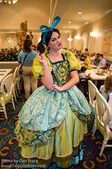 Drizella