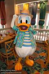 Donald Duck