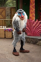 Rafiki