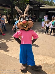 Brer Rabbit (Rare)