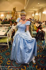 Cinderella's Happily Ever After Dinner