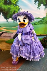 Daisy Duck