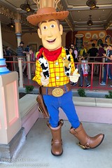 Woody