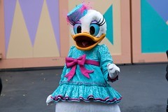 Daisy Duck