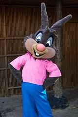 Brer Rabbit