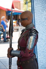 Dora Milaje (Wakanda Warriors)