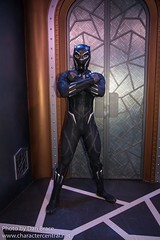 Black Panther - T'Challa