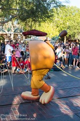 Slinky Dog