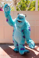 Sulley