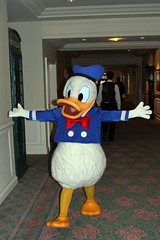 Donald Duck (Random)