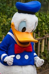 Donald Duck