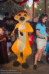 Timon