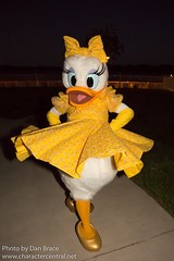 Daisy Duck