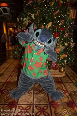 Stitch