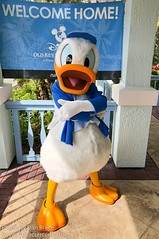 Donald Duck