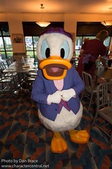 Donald Duck