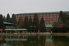 Disney's Sequoia Lodge