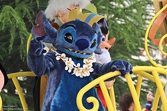 Stitch (Random)