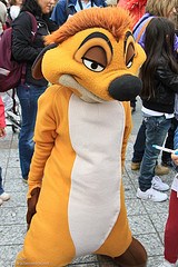 Timon (Random)