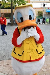 Donald Duck