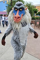 Rafiki (Random)