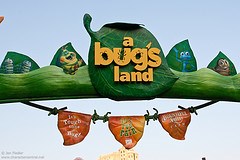 "a bug's land"