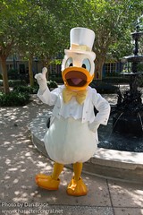 Donald Duck