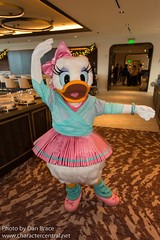 Daisy Duck