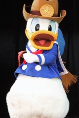 Donald Duck