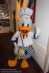 Donald Duck