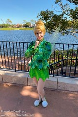 Tinker Bell