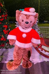 Duffy the Disney Bear