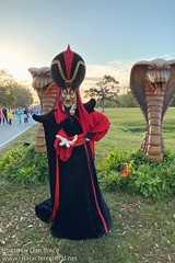 Jafar