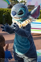 Stitch