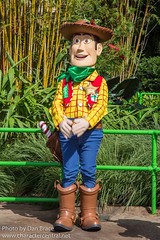 Woody