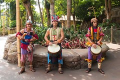 Adventureland Drummers