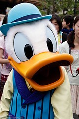 Donald Duck