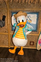 Donald Duck