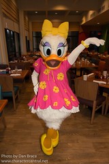 Daisy Duck