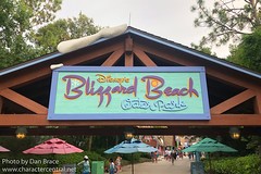 Disney's Blizzard Beach Water Park