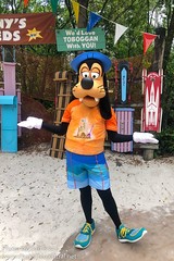 Goofy