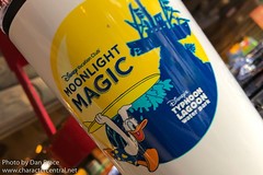 DVC Moonlight Magic (Typhoon Lagoon)