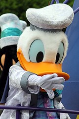 Donald Duck