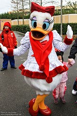 Daisy Duck